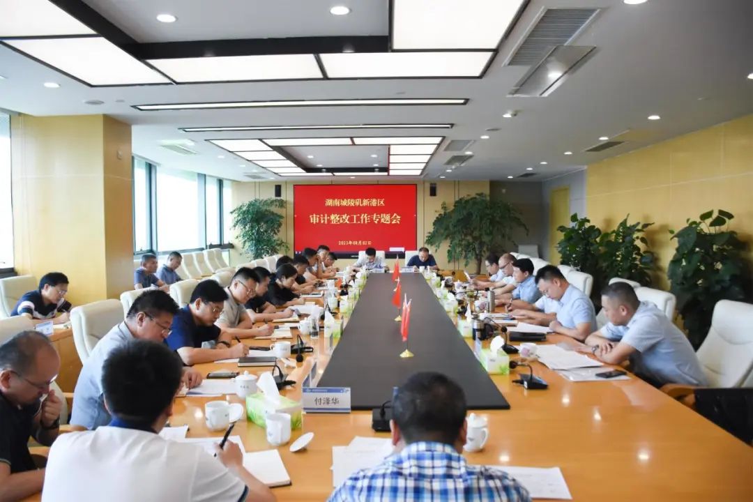 Qian Danqing, Deputy Secretary of the Party Working Committee and Director of the Management Committee of Chenglingji Xingang District, presided over a special meeting on audit rectification